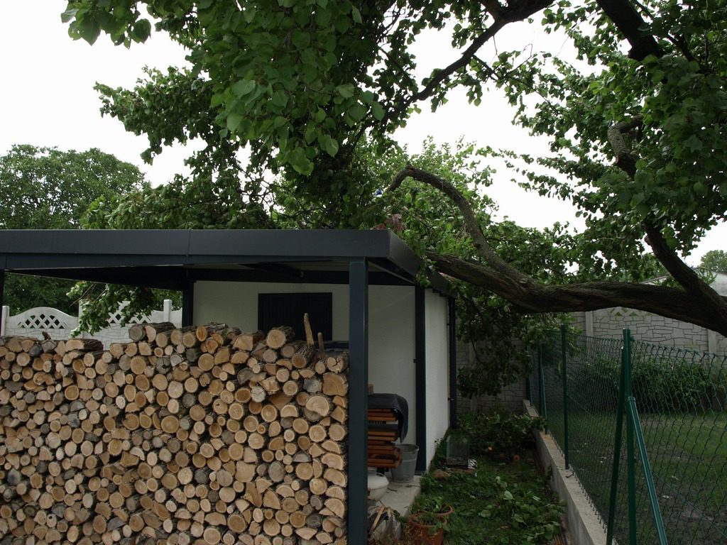 Drevo pri záhradnom domčeku