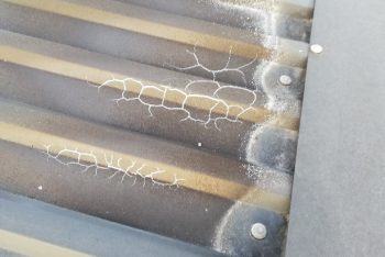 Požiar v záhradnom domčeku GARDEON