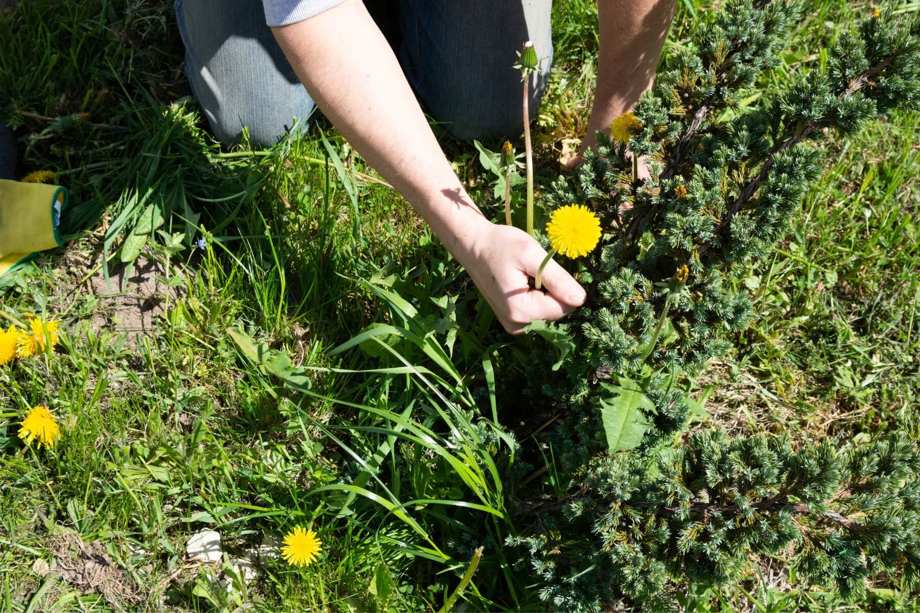 Burina v z&aacute;hone.