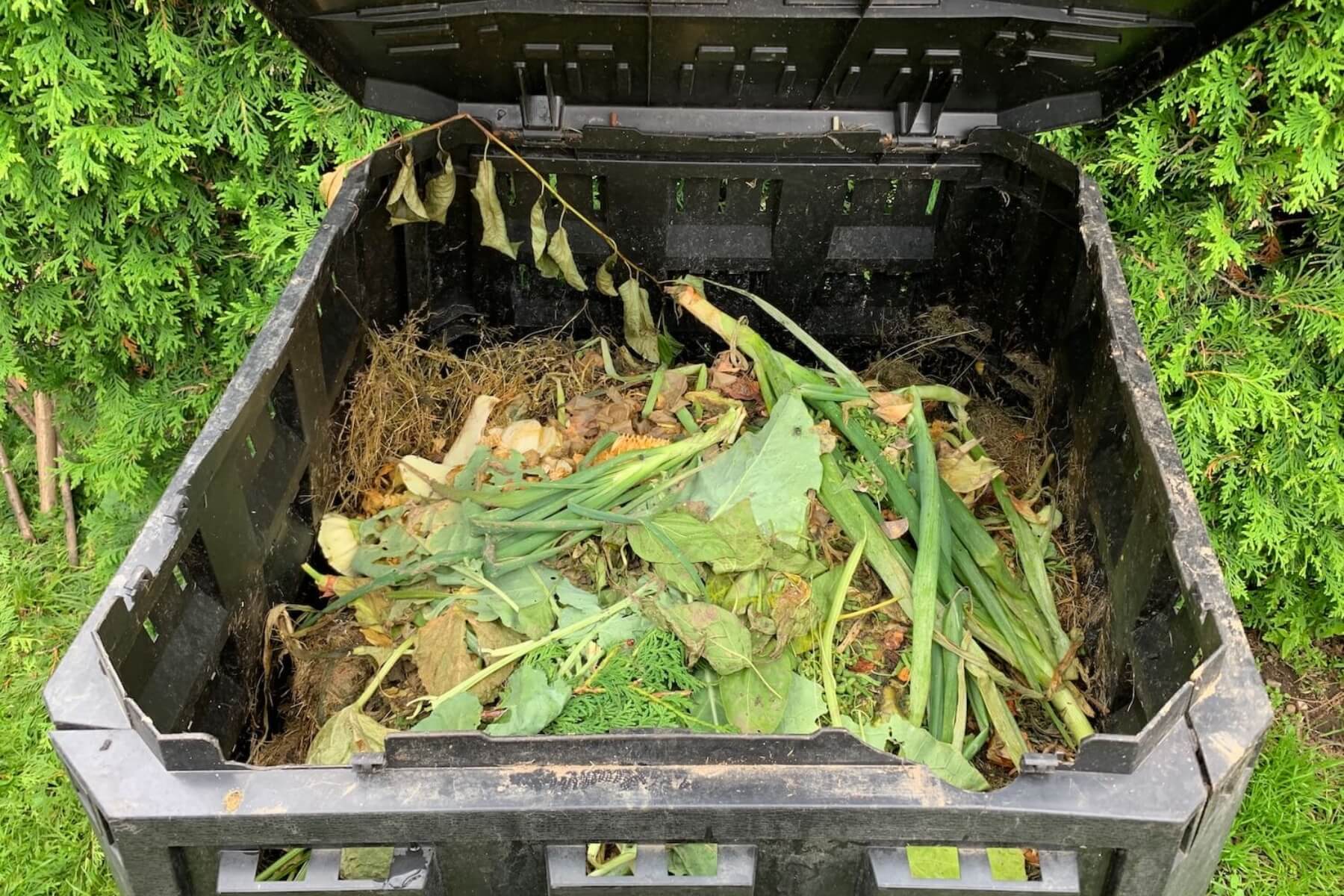 Odpad v čiernom kompost&eacute;ri.