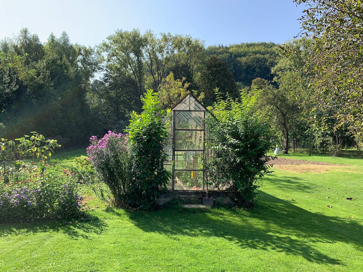 Bližší pohľad na skleník objatý stromčekami a kvetami