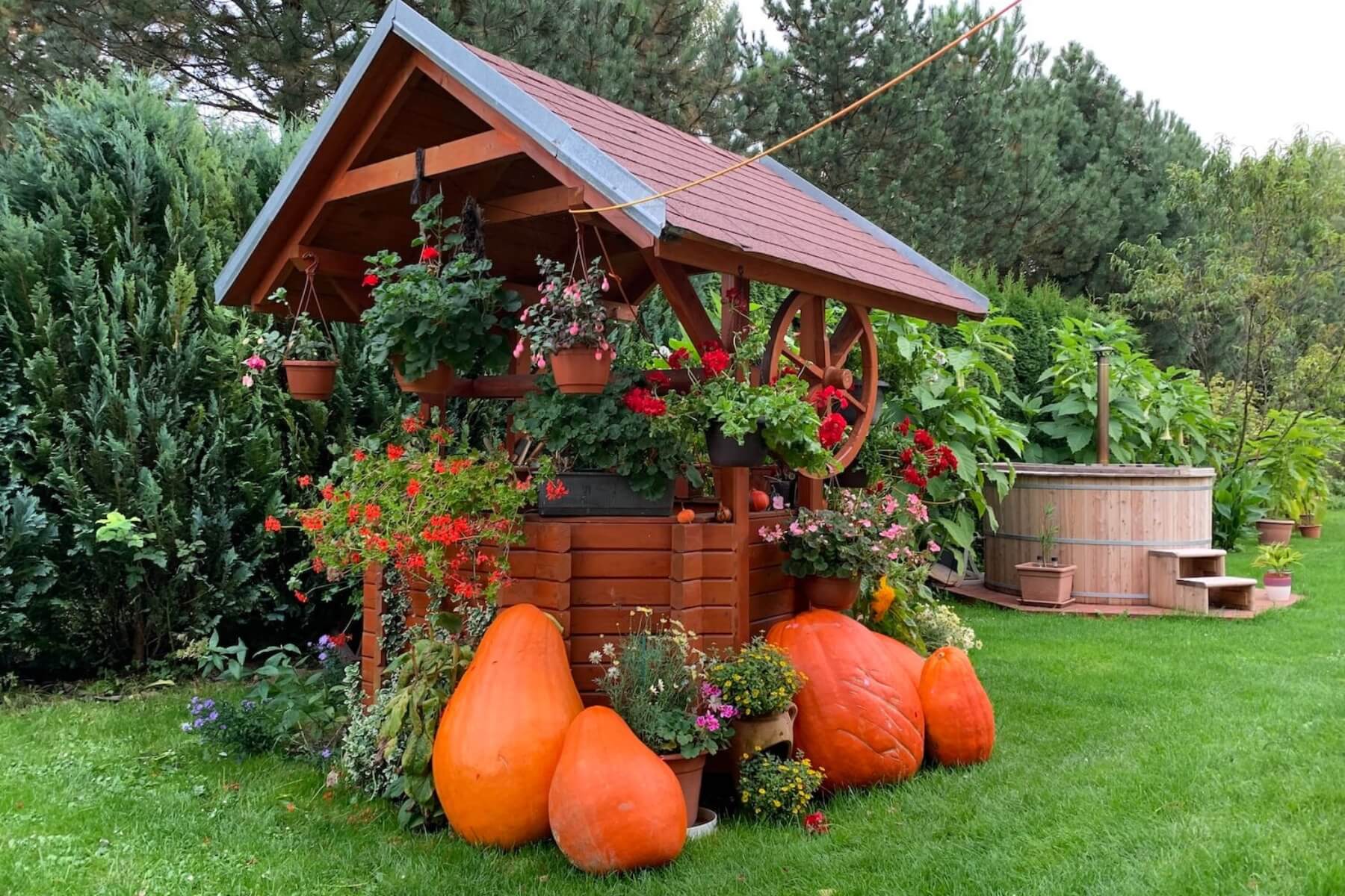 Studnička s kvetmi a tekvicami v z&aacute;hrade.