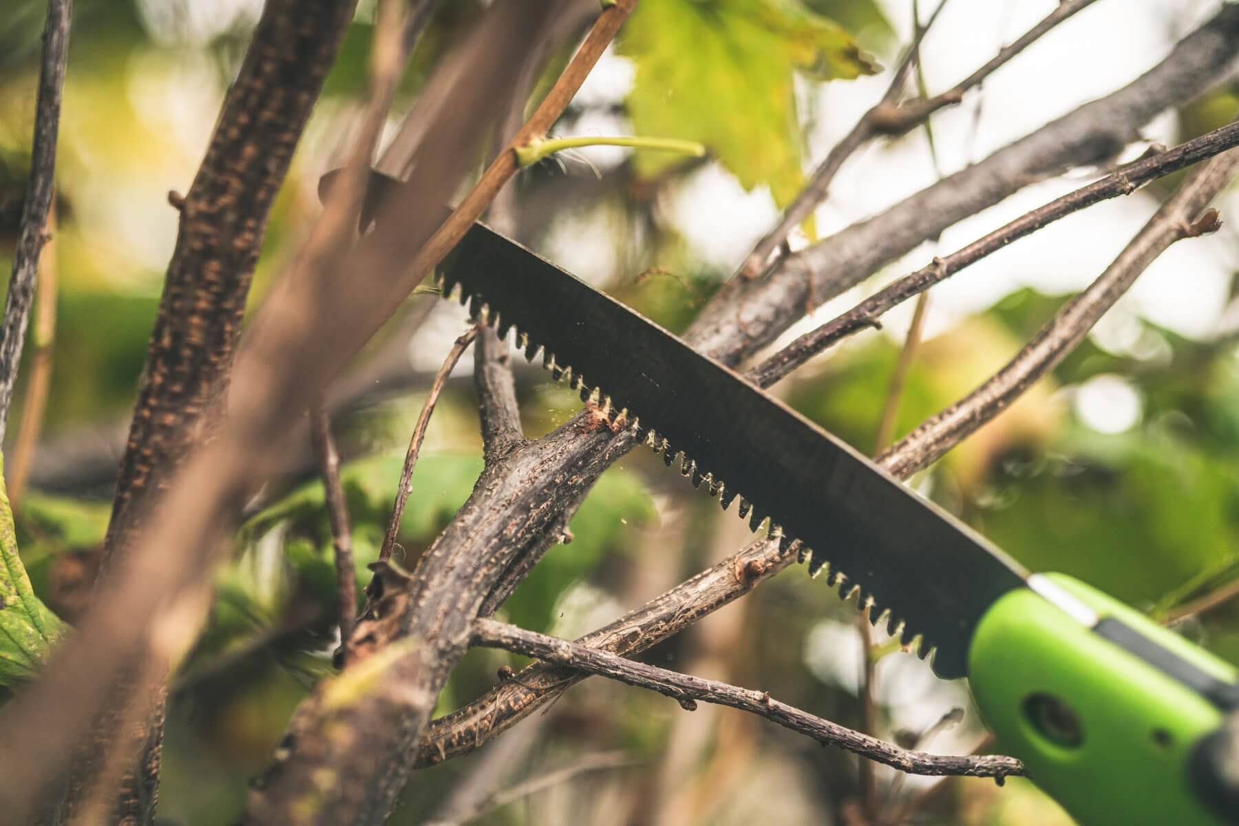 Pílenie konára ručnou pílkou.