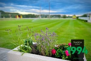 Kvety vo vyv&yacute;&scaron;enom z&aacute;hone v Gardeone.