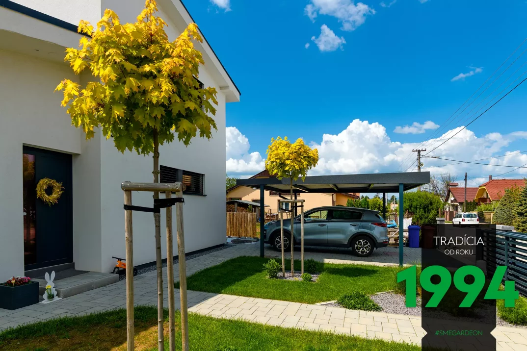 Auto na záhrade pod prístreškom