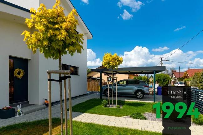 Auto na záhrade pod prístreškom