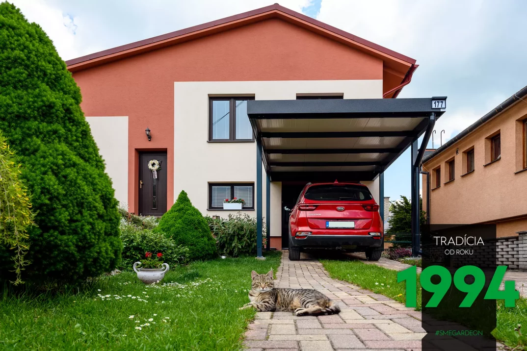 Mačka pred prístreškom a autom