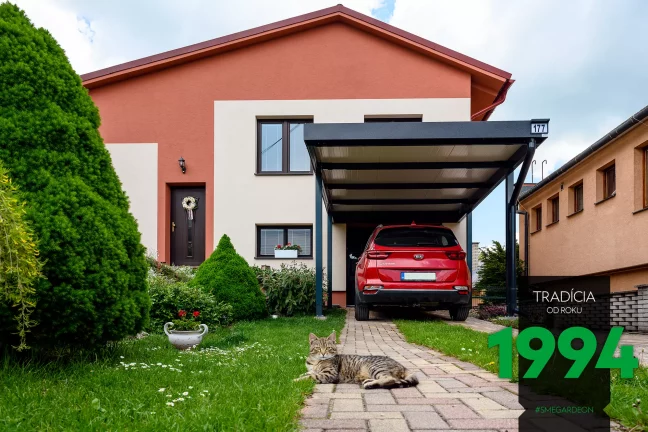 Mačka pred prístreškom a autom