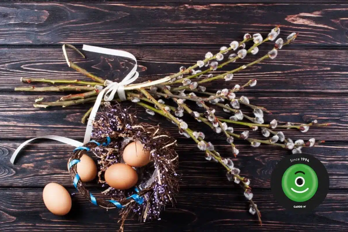 Kytička bahniatok a&nbsp;pr&uacute;ten&eacute; ozdobn&eacute; hniezdo s&nbsp;vaj&iacute;čkami.