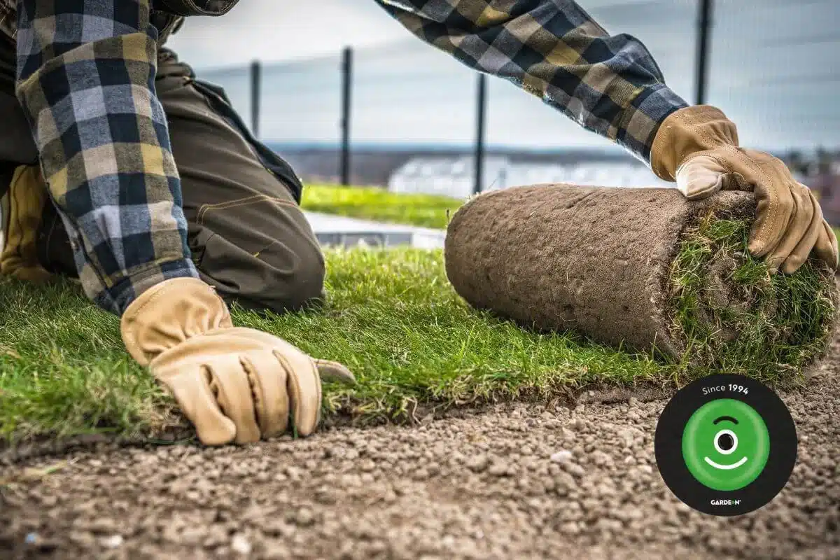 Muž pokladá čerstvo narezaný kobercový trávnik v záhrade.