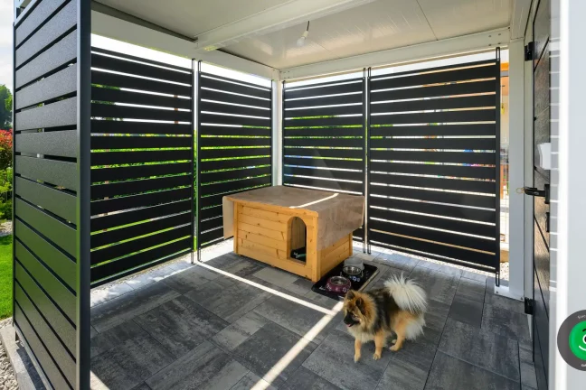 malý pes v prístrešku vedľa záhradného domčeka