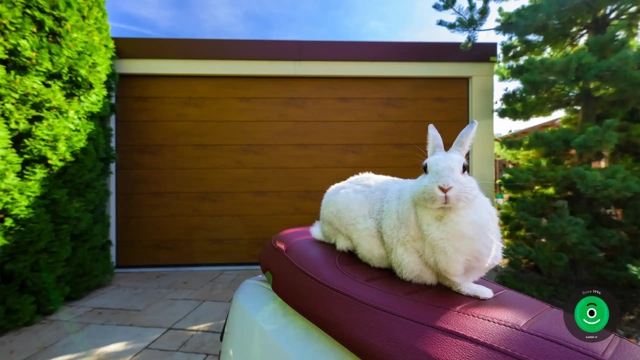 králik odfotený pri garáži so širokou bránou