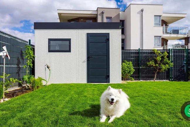 biely krásny pes pred záhradným domčekom