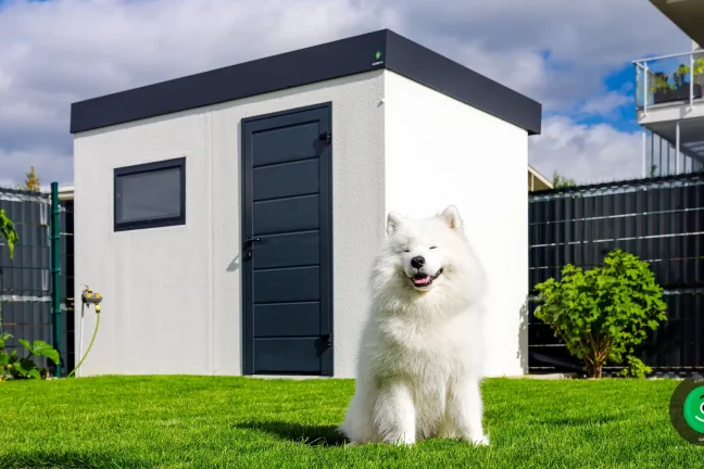 usmievajúci pes pred záhradným domčekom