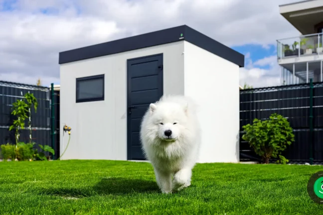 pes odfotený so záhradným domčekom