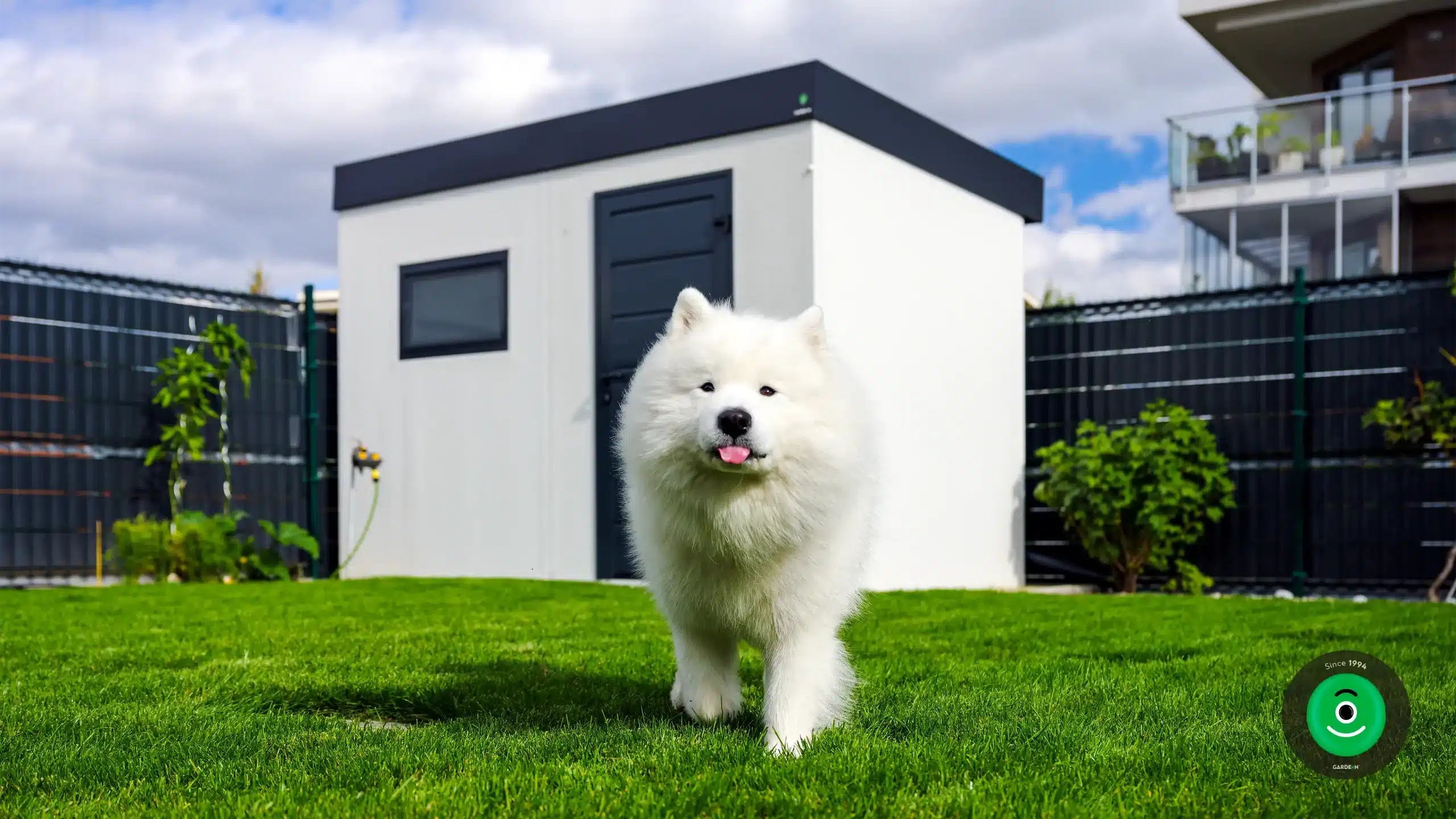 krásny chlpatý biely pes pred záhradným domčekom