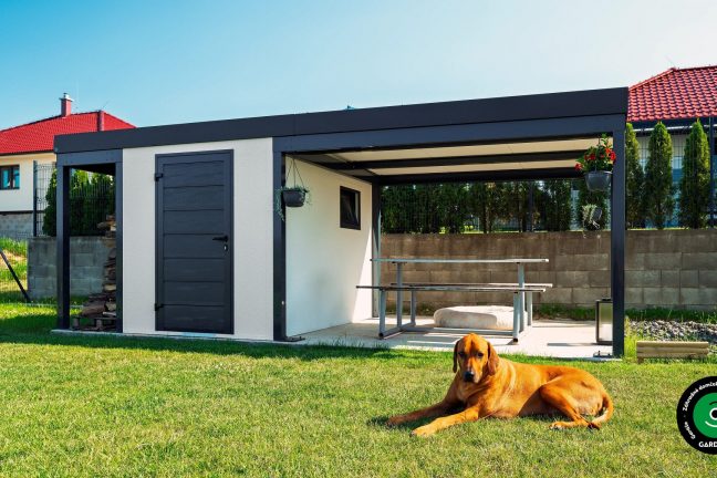 Krásny psík pred záhradným domčekom s prístreškom