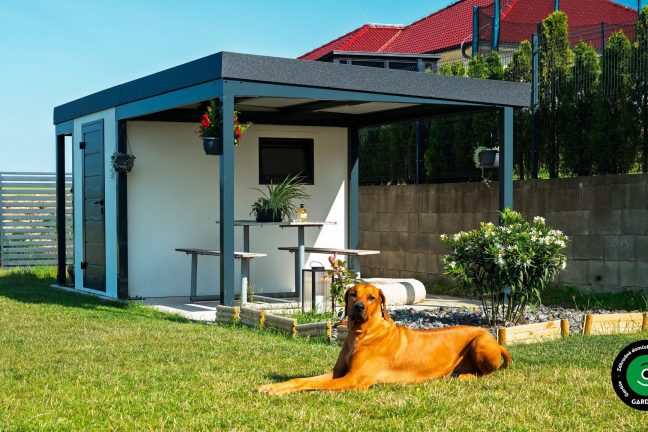 Pes vedľa záhradného domčeka s prístreškom